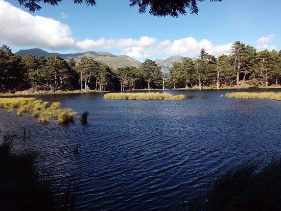 Bassa d'Oles