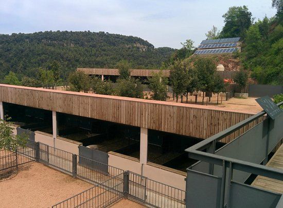 EcoGranja Salgot