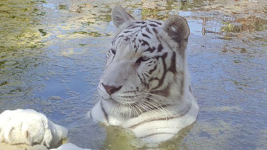 Zoo de Sevilla