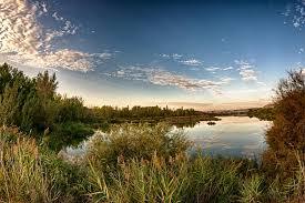 Laguna del Campillo