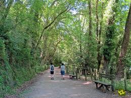 Via Verde Atxondo