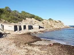 Pou des Lleó