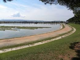 Parque de la Aguja