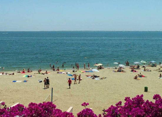 Playa Avellanes