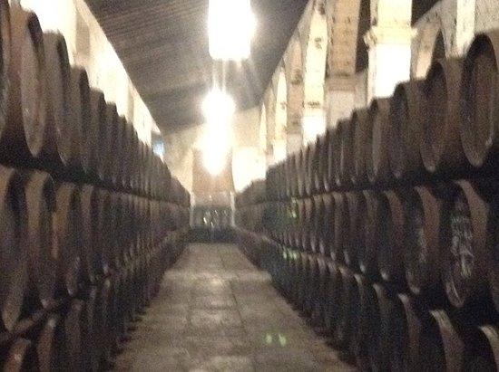 Bodegas Gutierrez Colosia