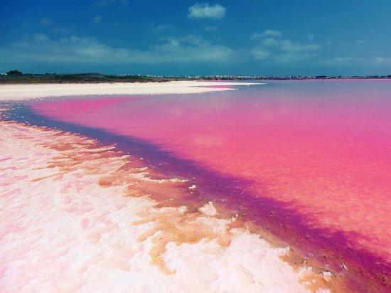 Las Salinas de Torrevieja