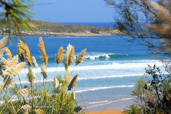 La Curva Escuela de Surf