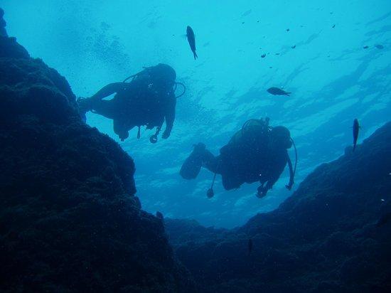 Centro de Buceo SCORPORA