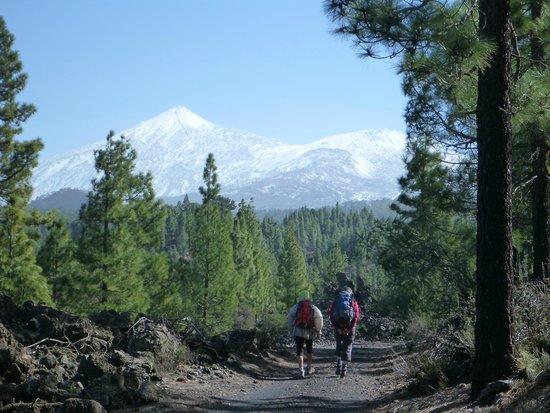 Trekking Tenerife - Tours