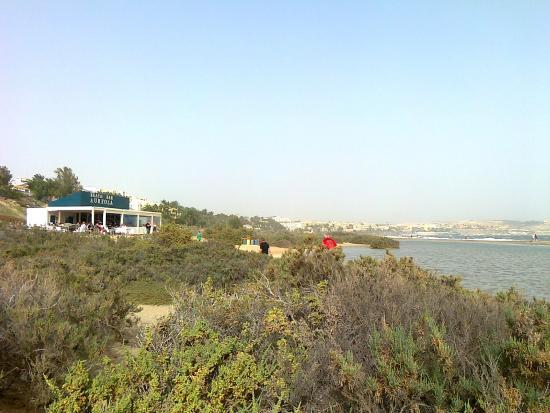 Aureola Beach Bar