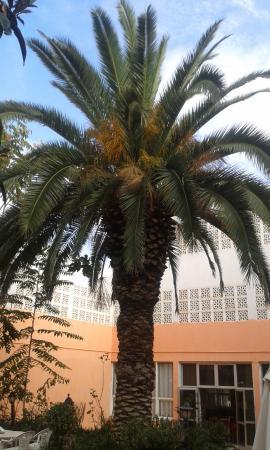 Centro Comercial El Nord