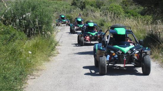 Monsterbuggy