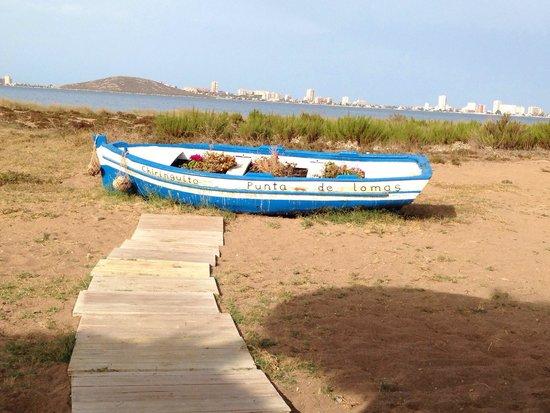 Chiringuito Punta de Lomas