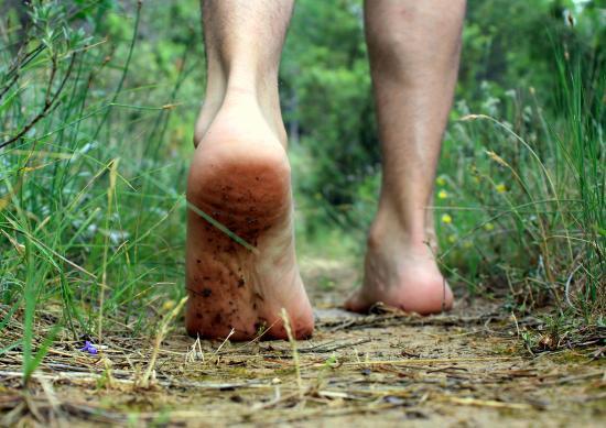EcoExperience
