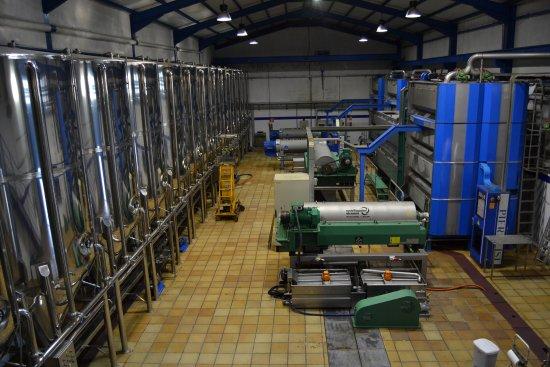 Oleo Turismo Aceites San Juan