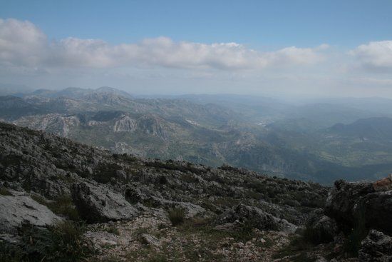 El Torreon