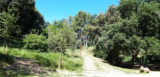 Parc Can Ginestar